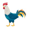 Cock of animal vector icon.Cartoon vector icon isolated on white background cock of animal. Royalty Free Stock Photo
