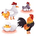 Cock cockerel chicken hen hatching illustration cartoon vector set