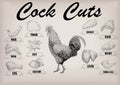 cockerel rooster cutting meat scheme parts carcass brisket