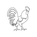Cock one line art. Continuous line drawing of poultry, domestic animal.