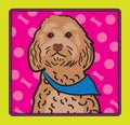 Cockapoo Cartoon