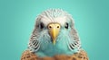 Hyper-realistic Budgerigar Portrait In Wes Anderson Style