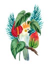 Cockatoo bird, anthurium plant and palm coconut leaves rainforest botanical