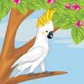 Cockatoo on a branch of a flowering tree