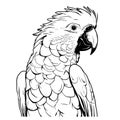 Cockatoo head line vector illustration isolated on white background .