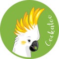 Cockatoo head. Sticker for design