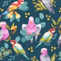 Cockatoo Parrot seamless pattern with euacalyptus leaves and flowers. Australian tropical animal and plant hand drawn illustration Royalty Free Stock Photo