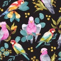 Cockatoo Parrot seamless pattern with euacalyptus leaves and flowers. Australian tropical animal and plant hand drawn illustration Royalty Free Stock Photo