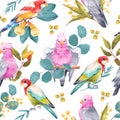 Cockatoo Parrot seamless pattern with euacalyptus leaves and flowers on white background. Australian tropical animal and plant Royalty Free Stock Photo