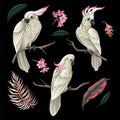 Cockatoo, tropical leaves and flowers isolated. Vector.