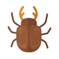 Cockchafer. Icon of bright small insect