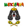 Cocker Spaniel dog. Mustache, Maracas, Sombrero. Mexico symbols. Mexicana inscription. Vector