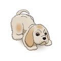 Cocker Spaniel Puppy Cartoon Character Playing. Dog Vector Illustration