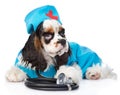 Cocker Spaniel puppy wearing hat doctor with stethoscope on his Royalty Free Stock Photo