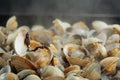 Cockles being cooked Royalty Free Stock Photo