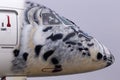 Cockpit of the P4-KHA Air Astana Embraer E190-E2 aircraft in the snow leopard livery