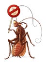 Cockroach against insecticides