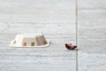 Cockroach approaching a pest control trap in a clean home setting Royalty Free Stock Photo