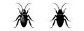 Cockroach black silhouettes, detailed and solid. Insect vector illustration set. On white backdrop Concept of pest Royalty Free Stock Photo