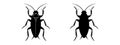 Cockroach black silhouettes, detailed and solid. Insect vector illustration set. White backdrop. Concept of pest control Royalty Free Stock Photo