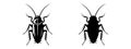 Cockroach black silhouettes, detailed and solid. Insect vector illustration set. On white background. Concept of pest Royalty Free Stock Photo