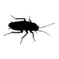 Cockroach Blattaria Silhouette Vector Found In Worldwide