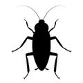 Cockroach bug icon on white background. cockroach sign. flat style. bug spray and insecticide symbol