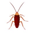 Cockroach Bug Icon on White Background. Vector Royalty Free Stock Photo