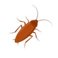 Cockroach bug vector icon. Roach silhouette insect black icon illustration pest.