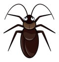 Cockroach Cartoon Color Illustration Design Royalty Free Stock Photo