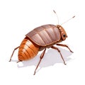 Cockroach in cartoon style. Cockroach isolated on white background. Watercolor drawing, hand-drawn in watercolor. Illustration