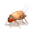 Cockroach in cartoon style. Cockroach isolated on white background. Watercolor drawing, hand-drawn in watercolor. Illustration