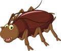 Cockroach cartoon for you design