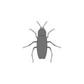 cockroach colored outline icon. One of the collection icons for websites, web design, mobile app Royalty Free Stock Photo