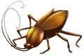 Cockroach digital art Royalty Free Stock Photo