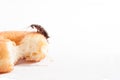 Cockroach on donut on white background