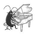 Cockroach grand piano sketch vector illustration