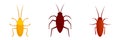 Cockroach icons set, flat style