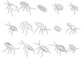 Cockroach icons set vector outline