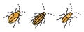 Cockroach icons set vector flat