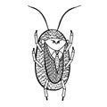 Cockroach. Illustration of a handmade comic style. Royalty Free Stock Photo