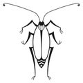 Cockroach ink drawing. Pest icon. Natural animal