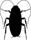 Cockroach insect silhouette