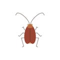 Cockroach insect stands and looks, back view, funny brown bug with antennae, vector cartoon pest parasite illustration