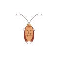 Cockroach insect stands and looks nervous, funny brown bug with antennae, vector cartoon bad pest parasite illustration Royalty Free Stock Photo