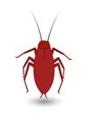 Cockroach Insect Vector