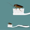 A cockroach is occupying a toothbrush on transparent background