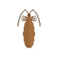 Cockroach Pixel art. Insect 8 bit. Beetle digital. Bug Vector il