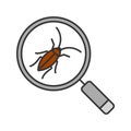 Cockroach searching color icon