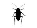 Cockroach silhouette vector art white background